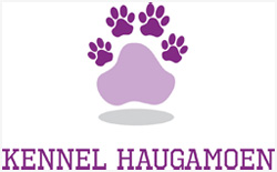 Kennel Haugamoen