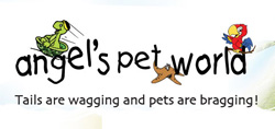 Angel's Pet World