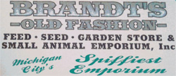 Brandt's Old Fashion Emporium