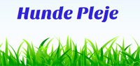 Hunde Pleje